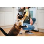 PLAY Cat Toy Purrfect Picnic