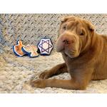 PLAY Dog Toy Hanukkah Set