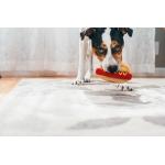 PLAY Dog Toy Hot Dog