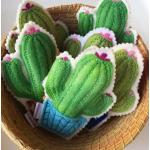 Miso Handmade Cat Toy Catnip Cactus