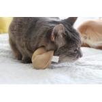 Miso Handmade Cat Toy Fortune Cookie Individual