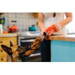 PLAY Dog Toy Good Boy Cola