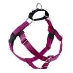 Freedom Harness Raspberry