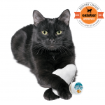 DeziRoo Cloud Nine Silvervine 15g