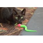 DeziRoo Wiggly Bouncy Ball