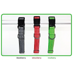 Goli Dog Collar Reflective Haight Ashberry