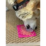 Soda Pup Lick Mat Flower Small