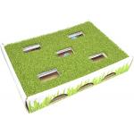 Petstages Grass Patch Hunting Box