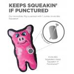 OH Durablez Mini Pig