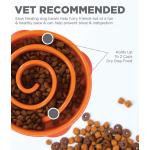 Outward Hound Fun Feeders