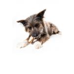 Winnie Lou Bison Marrow Bone 4"