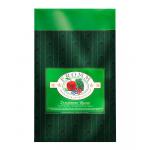 Fromm Dog Dry Zealambder 4#