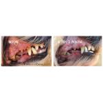 PlaqueOff Powder 60gram