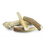 Elk Antler - Whole (Various Sizes)