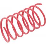 Bulk Cat Toy - Spring