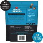 Cloudstar Tricky Trainer Crunchy Salmon 8oz