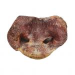 Pig Snout (Freeze-Dried)
