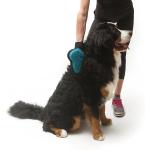 MessyMutts Silicone Grooming Glove