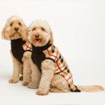 FabDog Plaid Sweater
