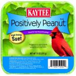 Kaytee Suet Positively Peanut 11oz
