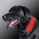 NiteIze NiteDog LED Collar Cover Gray