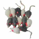 GoCat Short Hair Mouse