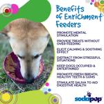 Soda Pup Tipsy Bowl - Green Garden