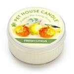 Pet House Mini Candle Fresh Citrus