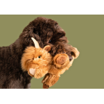 Fluff & Tuff Shaggy the Highland Cow