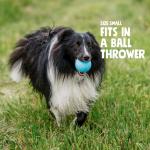 West Paw Boundr Glow 2pack