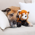 Fluff & Tuff Archie Red Panda