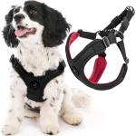Gooby Escape-Free Sport Harness Black Large