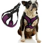 Gooby Comfort X Step In Lite Harness Purple XL