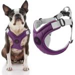 Gooby Memory Foam Step-In Harness Purple Small