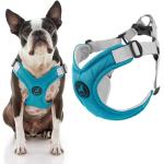 Gooby Memory Foam Step-In Harness Turquoise Medium