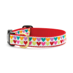 UpCountry Collar Pop Hearts Medium 5/8