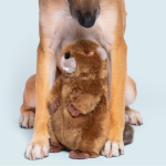 Fluff & Tuff Troy Beaver