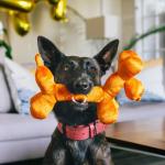 PLAY Balloon Buddy