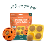 Woof Pupsicle Mix - Pumpkin Spice 5.5oz