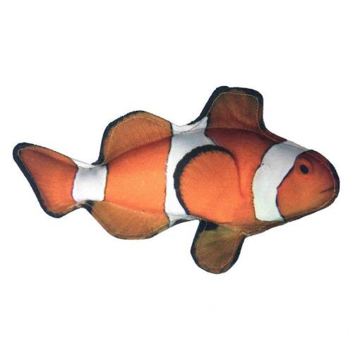 Clownfish - Small & Large