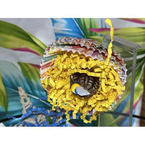 Tropical Foot Toy 4pk Bird Toy