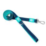 Leashes: Blue
