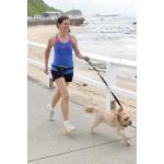 DOOG - Mini Walking/Running Belts