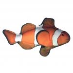 Clownfish - Small & Large