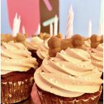 Cupcakes - Birthday (Tan)