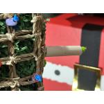 Christmas Tree Bird Toy