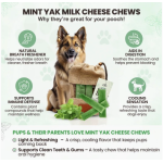 Mint Yak Milk Chews - Large Sized Mint Yak Milk Chews - Large Sized
