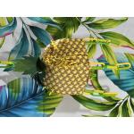 Pineapple Foraging Box Bird Toy