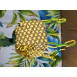 Pineapple Foraging Box Bird Toy