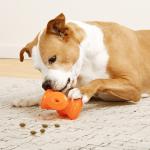 BIONIC STUFFER – Durable Dog Toy for Power Chewers